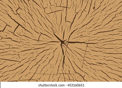 Nature wood pattern, core tree cutting, wood vector texture