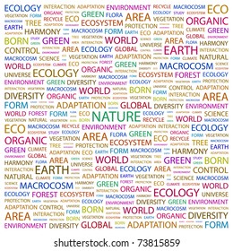 NATURE. Word collage on white background. Vector illustration. Illustration with different association terms.