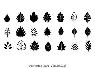 Nature-Inspired Leaf Silhouettes – Perfect for Logos  Designs