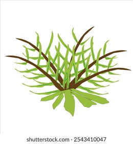 NATURE-INSPIRED TREE VECTOR DESIGN.GREENERY AND TREE ILLUSTRATION VECTOR.