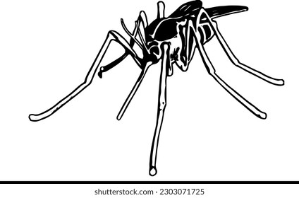 Nature's Delicate Guardian Captivating Vector Clip Art of a Female Anafilis Mosquito Silhouette