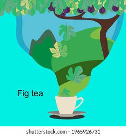Nature's good fig leaf tea 