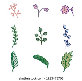 Nature's Grace Vector Set: Immerse your visuals in the beauty of nature with this collection of floral illustrations. The hand-drawn leaves and flowers on a white background offer a touch design