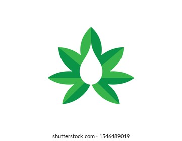 Nature's Oil Drop A Harmonious Blend of Leaf and Fluidity Representing Purity and Growth