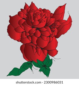 Nature's Palette: An Enchanting Collection of Floral Art vector illustration