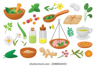 Naturopathy elements. Medicinal plants leaves and flowers. Bowl mortar cup with herbal tea berries. Ginger aloe calendula mint, neoteric vector set