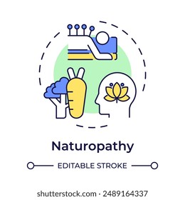 Naturopathy multi color concept icon. Herbal remedies, vegetarian food. Alternative therapy. Round shape line illustration. Abstract idea. Graphic design. Easy to use in infographic, presentation