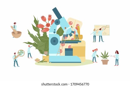 Naturophapy and traditional medicine, natural medicines and tablets of medicinal plant extracts, doctors with herbs, plants, microscope and healing products flat vector illustration. Homeopathy.