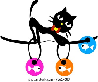Naughty black cat find the fishs