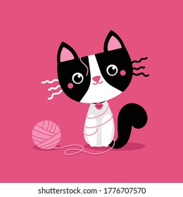 Naughty cat, black and white fur color with innocent face