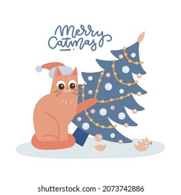 Naughty cat droping a decorated Christmas tree. Xmas flat vector illustration, card, banner, poster, print with lettering text - Merry Catmas.