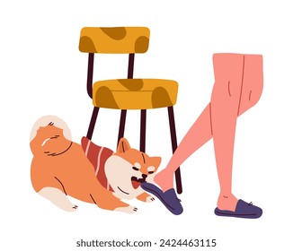 Escena de perros traviesos. Un cachorro enojado mordiendo la pierna del dueño. Un animal doméstico gracioso. Mascota con caos y desorden. Afiche o pancarta. Dibujo vectorial plano de dibujos animados aislado en fondo blanco