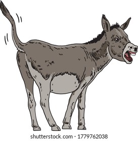 A Naughty Donkey Screaming, Vector Illustration.