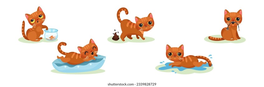 Naughty Kitten in Different Situation as Mischievous Domestic Pet Vector Set