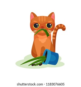 Naughty kitten eating house plant, mischievous cute little cat vector Illustration on a white background