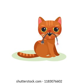 Naughty kitten gnawing wire with plug, mischievous cute little cat vector Illustration on a white background