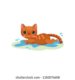 Naughty kitten lying in a puddle on the floor, mischievous cute little cat vector Illustration on a white background