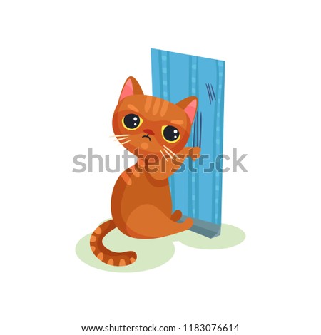 Naughty kitten scratching wallpaper, mischievous cute little cat vector Illustration on a white background