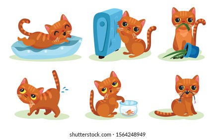 Naughty Playful Kitten Turning Over the Flowerpot, Cathcing Fish in Aquarium Vector Set