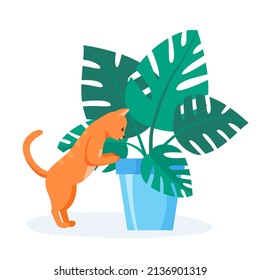 Naughty red cat trying to eat home plant. Badly behaved pet destroying house plant. Domestic animal looking into flower pot. Flat style vector