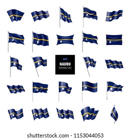 Nauru flag, vector illustration on a white background