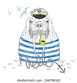 nautical animal illustration, walrus captain