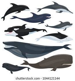 Nautical collection of different underwater big fishes and mammals animals. Underwater fish wildlife, humpback and whale, vector illustration