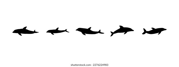 Nautical Dolphin. Sea Underwater animal. Vector illustration