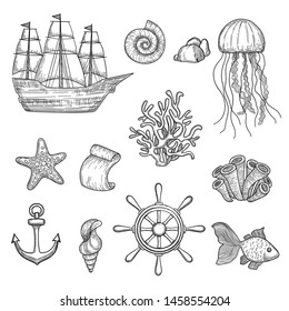 Nautical elements. Ocean fish shells boats ships knot travel marine symbols vector hand drawn collection. Ocean and sea marine elements, boat and shell illustration