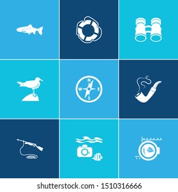 Nautical icon set and binoculars with seagull, harpoon gun and trout fish. Optical instrument related nautical icon vector for web UI logo design