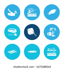 Nautical icon set and cuttlefish with summer vacation, bamboo raft and crampfish. Breaststroke related nautical icon vector for web UI logo design.