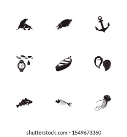 Nautical icon set and fish bone with anchor, canoe and cuttlefish. Squid related nautical icon vector for web UI logo design.