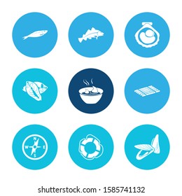Nautical icon set and fish steak with mussel, sardine and scallop. Herring related nautical icon vector for web UI logo design.