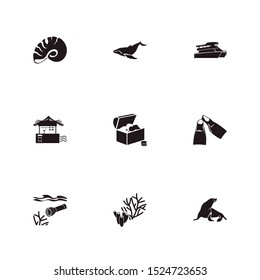 Nautical icon set and seashell with underwater flashlight, treasure chest and flippers. Wealth related nautical icon vector for web UI logo design.
