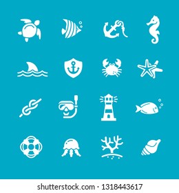 Nautical Icons set