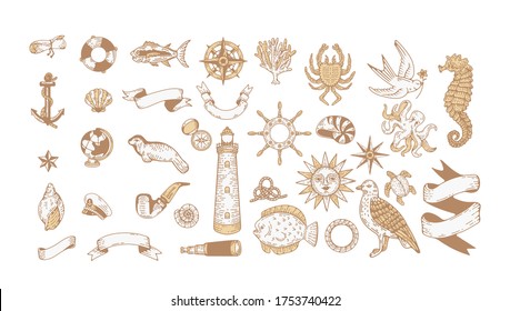 nautical illustration vector clip art set. engraved vintage vector sea elements for logo design and branding. captain, ocean voyage, sea creatures, beach, ship equipment, navy sailors clipart, anchor 