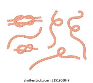 Nautical knots and ropes in cartoon style. Isolated vector