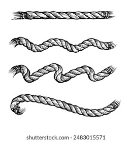 Nautical rope knots. Vector isolated on white.