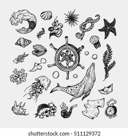 Nautical set. Sea set. Marine collection. Sea elements, underwater world. Fishes, shells, pirate elements, ship elements, anchor, helm, whale, wave.