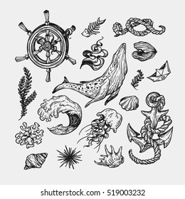 Nautical set. Sea set. Marine collection. Sea elements, underwater world. Fishes, shells, pirate elements, ship elements, anchor, helm, whale, wave.