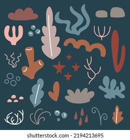 Nautical set with underwater plants. Vector illustration for your design