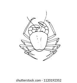 Nautical sketch with crab isolated on white background. Underwater diving illustration for print, card, poster, colouring book. Contour picture.