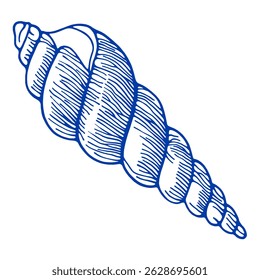 Esboço de concha espiral náutica. Linha de tinta azul Art. Elemento de projeto marinho costeiro. Conchas oceânicas subaquáticas exóticas
