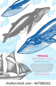 Nautical vector illustration drawn in ink. Frigate and whale on the waves. Sea design template. Whales watching holiday.