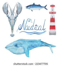 Nautical watercolor collection: the blue whale, lighthouse, fish, lobster. Hand drawn vintage objects on white background.