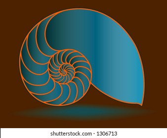 Nautilus