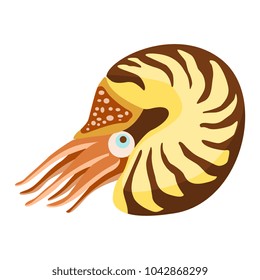 Nautilus cartoon vector