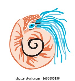 Nautilus or the character is isolated on a white background for design or as a print for baby. Squishy vector stock illustration with a cute sea animal with a shell and tentacles and a blue eye