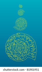 Nautilus drawing