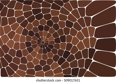 Nautilus Fibonacci pattern vector Background
